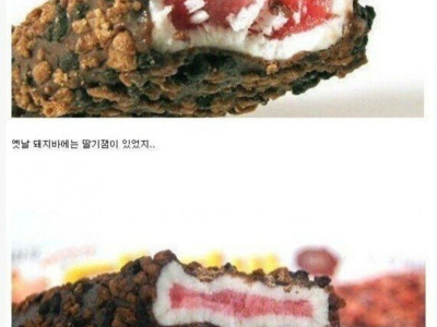 옛날 돼지바가 맛있었던 이유.jpg