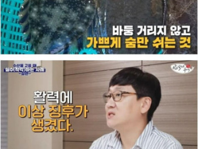 수산시장에서 걸러야하는 생선