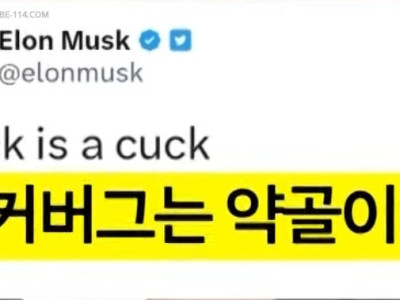 일론 머스크-저커버그 싱글벙글 근황