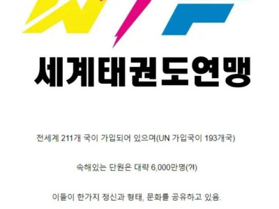 의외로 세계 최대급인 무술 문파..jpg