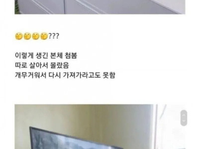 남동생에게 넘겨받은 컴퓨터가 부담스러운 누나.jpg