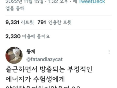정말 맞는 말만 하는 직장인