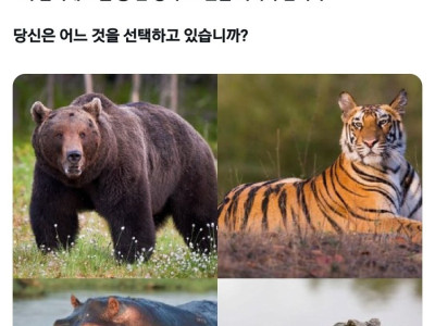 20분 버티면 1억 달러 드립니다.jpg