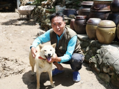 집 찾아왔네…산사태로 실종된 '犬 진순이' 27시간 만에 귀환