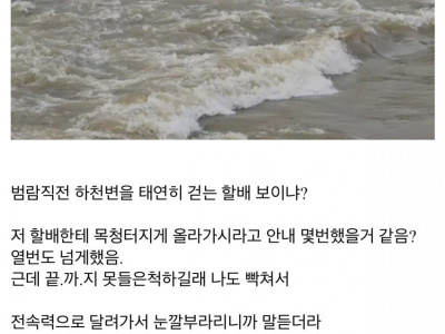 장마철에 물이 불어도 하천변으로 기어들어 가는 인간들.jpg