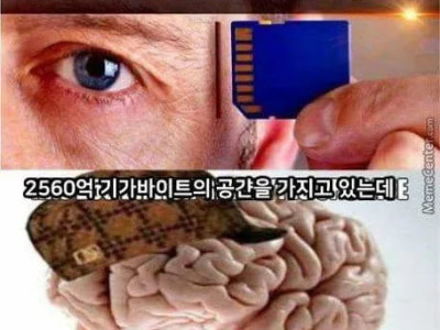 사람 두뇌 특징