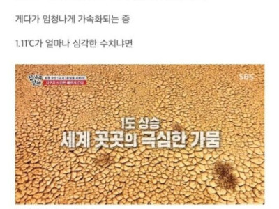 80억명의 조별과제 유효기간.jpg