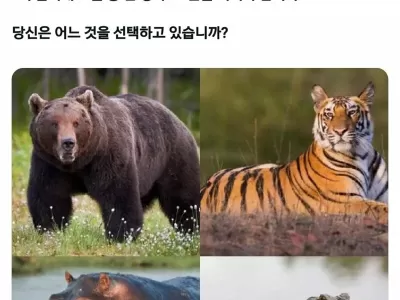 20분 버티면 1억 달러를 드립니다.jpg