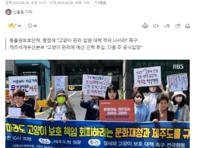 마라도에서 반출된 고양이들 근황