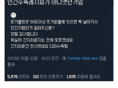 모기 물린곳 간지러울때 꿀팁