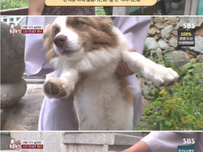 수의사 선생님에게 혼난 동물농장 제작진.jpg