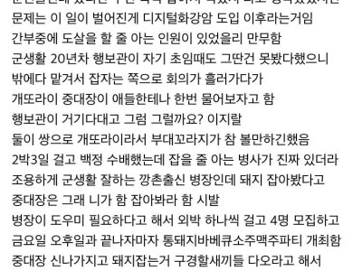 군부대에서 돼지를 생으로 도살했던 썰.jpg