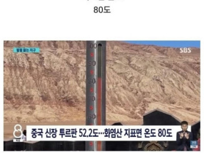 현재 전세계 폭염 근황