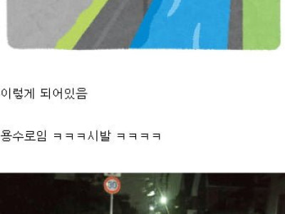 33명 죽고 안전펜스 설치. 횡단보도