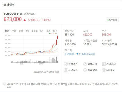 한달만에 50% 오른 주식