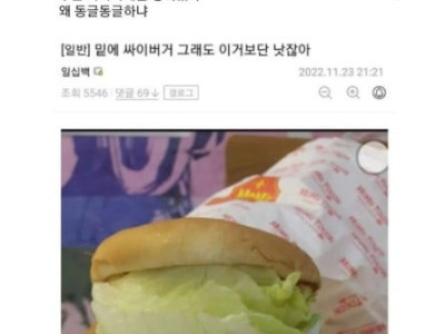 맘스터치 싸이버거 왜 이렇게 생겼냐;;ㄷㄷ