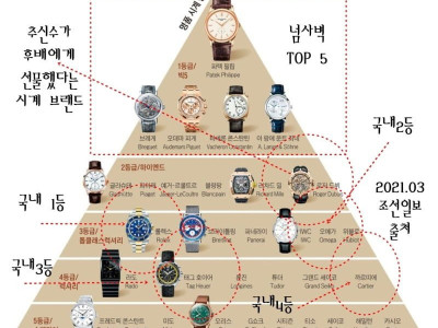 일반인들의 명품 시계 구분