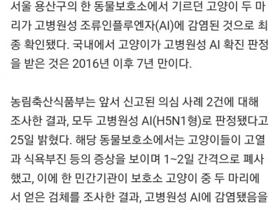 고양이 2마리. 고병원성 AI 확진
