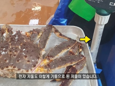 수산시장 갔을 때 저울치기 구별하는 방법