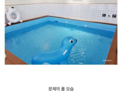 2살 유아가 숨졌다는 무인 키즈풀 모습.jpg