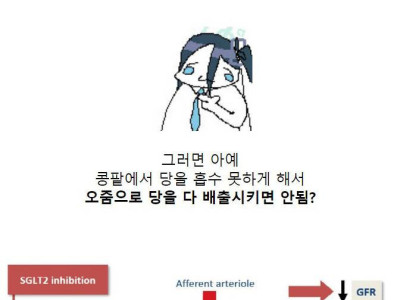 당뇨에 사용되는 신약 수준.jpg