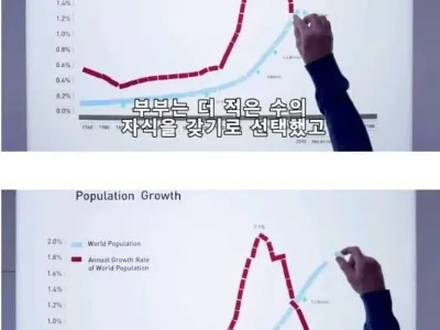 인구 과잉에 대한 빌게이츠의 생각