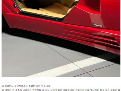 불닭 테이블 쿤타치 좀 보고 가세요.jpg