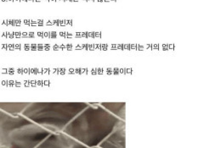 신기한 동물 지식 10가지