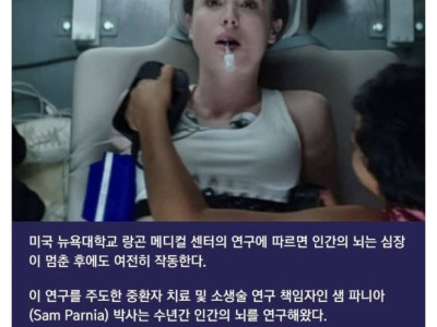 사람이 죽을 때 뇌는 어떻게 받아들일까.jpg