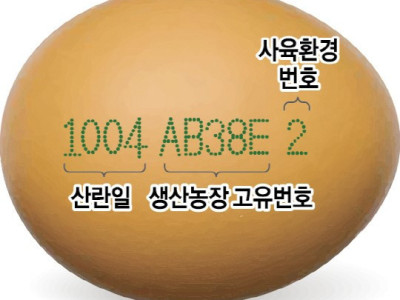 난각번호에도 비밀이...?동물복지 계란 야무지게 고르는 법