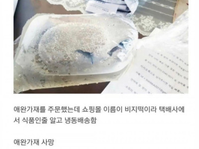 애완가재 택배 수령 후기ㄷㄷ