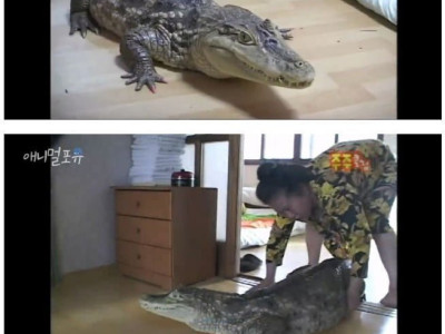 광기였던 2000년대 부산