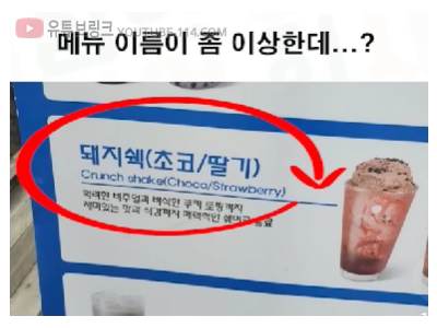 이 돼지쉨