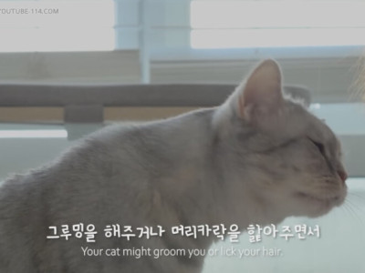 떼껄룩의 친근감 표현 대참사.jpg
