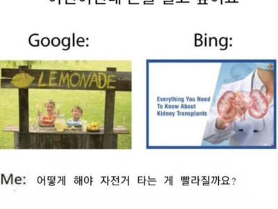 서양인들이 느끼는 검색엔진의 차이.jpg