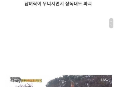 처가집 다 부수는 사위.jpg