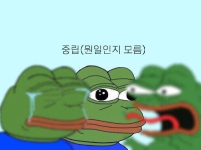 참된 중립을 표현한 짤