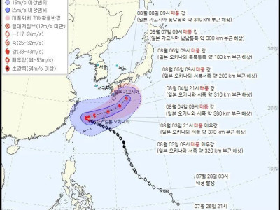 이와중에 독하디 독한 태풍 근황