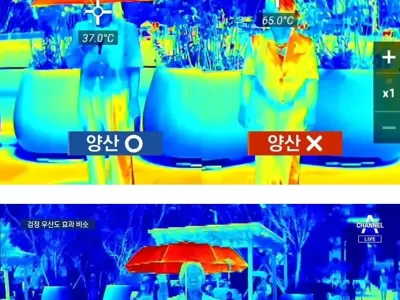 양산의 효과.jpg
