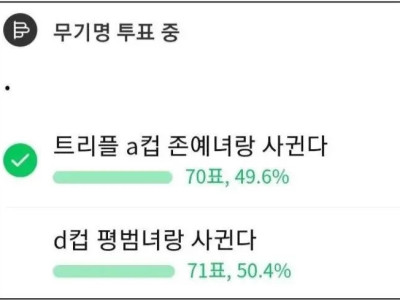 트리플A컵 존예녀 vs D컵 평범녀.jpg