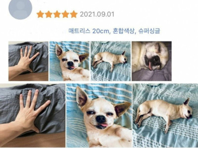 주작1도 없는 신뢰감 100% 침대 매트리스 상품 후기글.jpg
