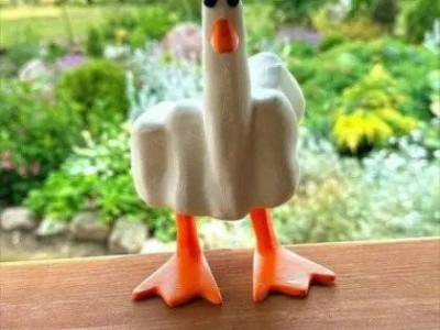 Duck You