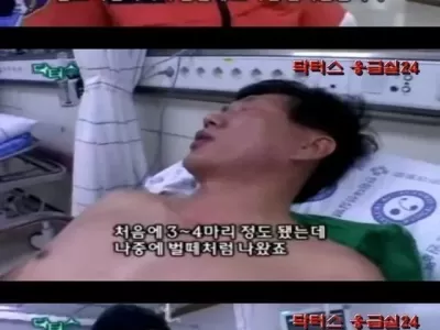 말벌에 쏘여 응급실 온 환자의 드립 ㄷ..jpg