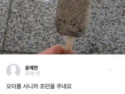 허언증 갤러리 레전드