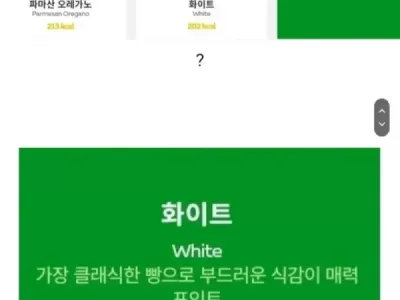 서브웨이 플랫브레드 칼로리의 진실