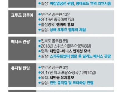 잼버리 배운다며 크루즈 즐겼다...공무원 해외출장 99번