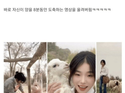 어느 양치기가 470만명 팔로워 둔 비법.jpg