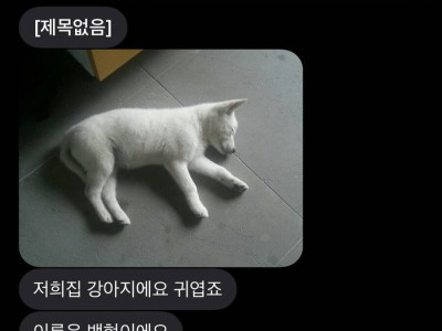 강아지 자랑하는 진상.jpg