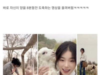 어느 양치기 소녀의 팔로워 470만 비법.jpg