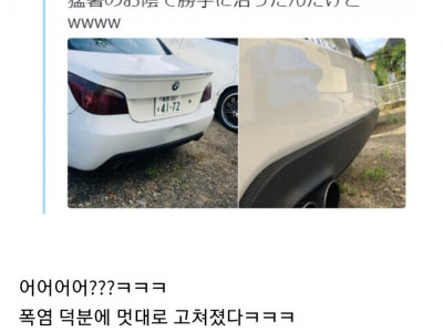 폭염 덕분에 신난 일본인